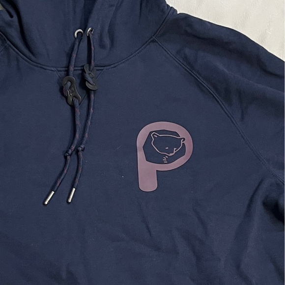 NWT - Penfield Men’s Big P Bear Chest Print Hoodie - Size XL - Picture 7 of 14